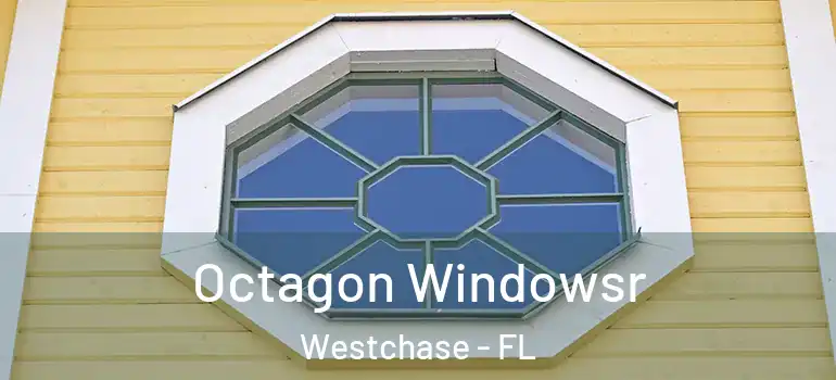 Octagon Windowsr Westchase - FL