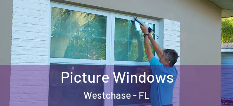 Picture Windows Westchase - FL