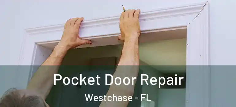 Pocket Door Repair Westchase - FL