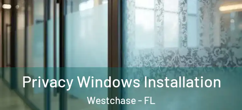 Privacy Windows Installation Westchase - FL