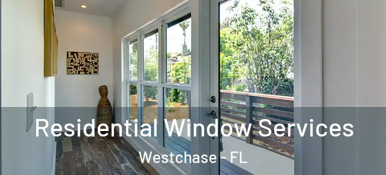  Residential Window Services Westchase - FL