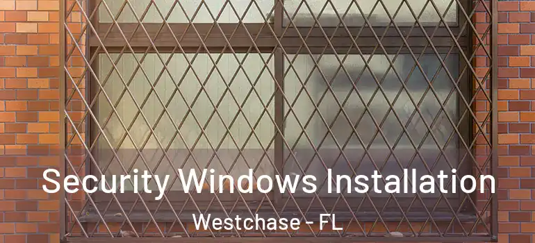 Security Windows Installation Westchase - FL