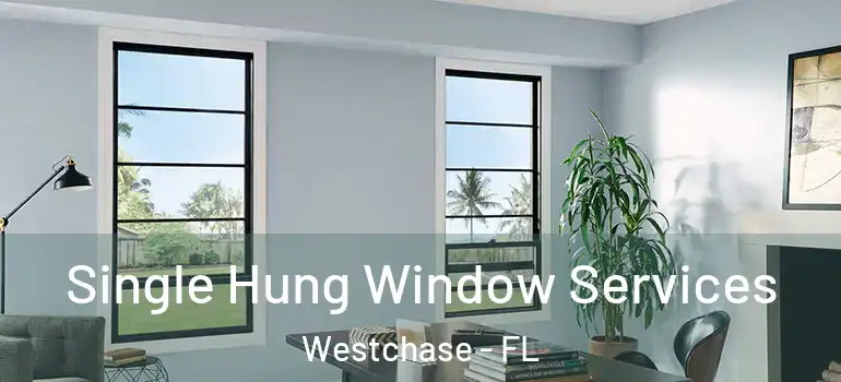 Single Hung Window Services Westchase - FL