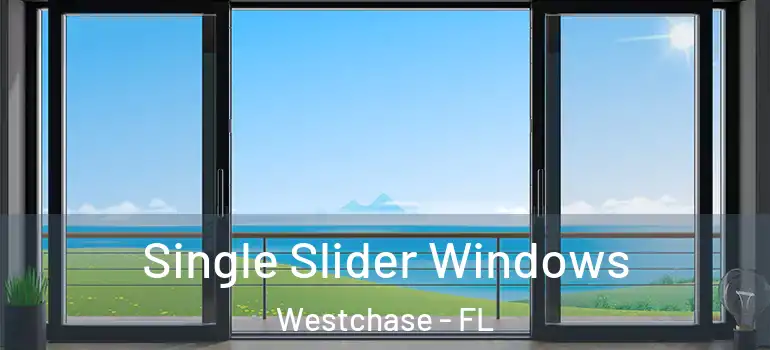 Single Slider Windows Westchase - FL