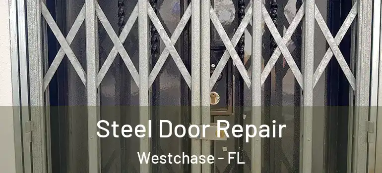 Steel Door Repair Westchase - FL