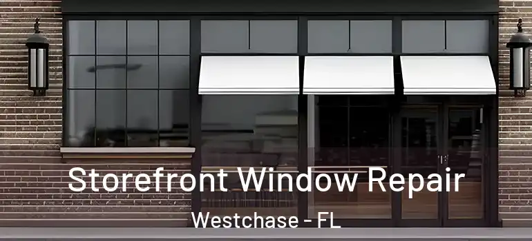 Storefront Window Repair Westchase - FL