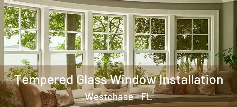 Tempered Glass Window Installation Westchase - FL