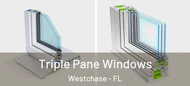 Triple Pane Windows Westchase - FL