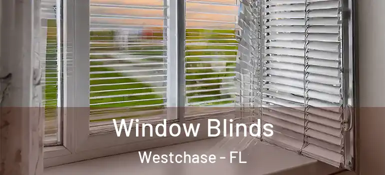 Window Blinds Westchase - FL