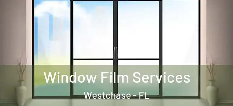 Window Film Services Westchase - FL