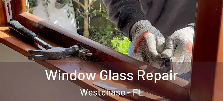 Window Glass Repair Westchase - FL