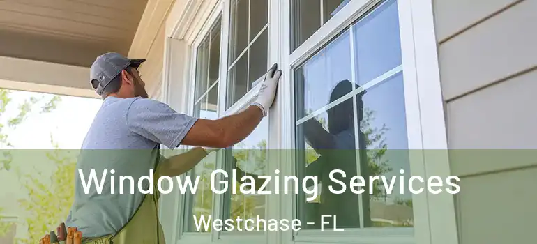 Window Glazing Services Westchase - FL