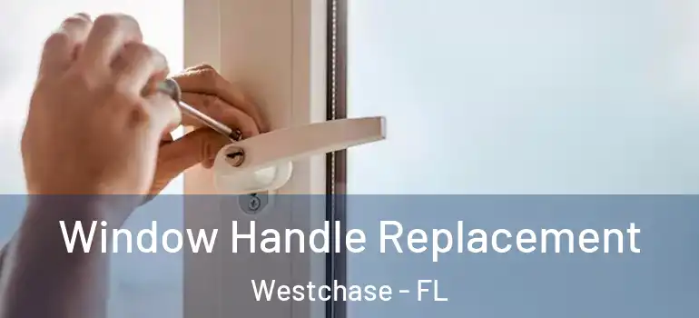 Window Handle Replacement Westchase - FL
