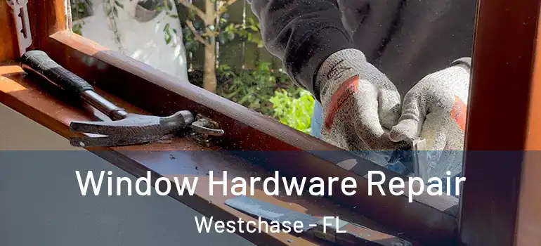 Window Hardware Repair Westchase - FL