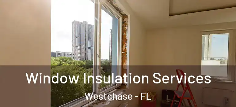Window Insulation Services Westchase - FL