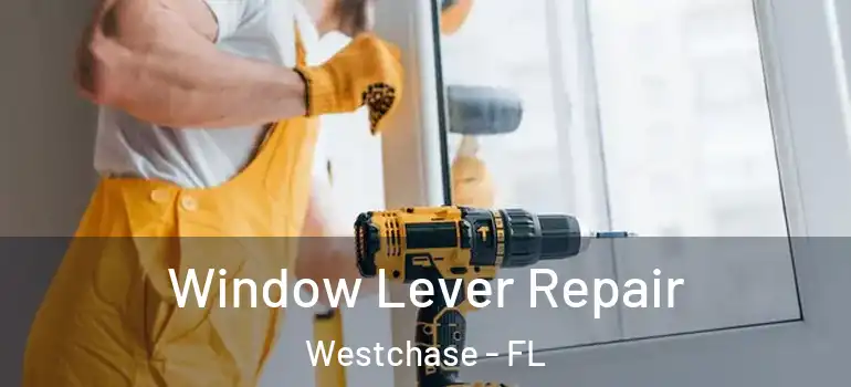 Window Lever Repair Westchase - FL