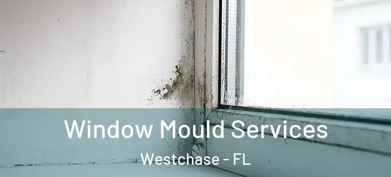 Window Mould Services Westchase - FL