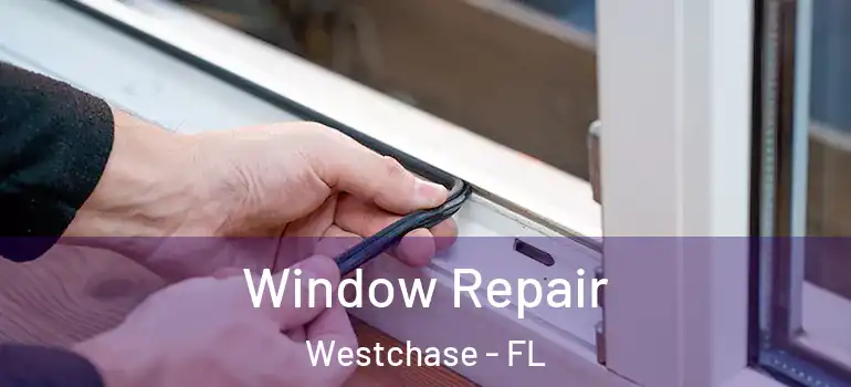 Window Repair Westchase - FL