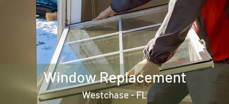  Window Replacement Westchase - FL
