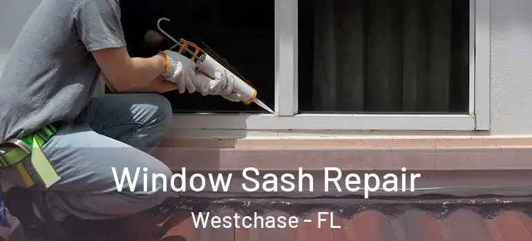 Window Sash Repair Westchase - FL