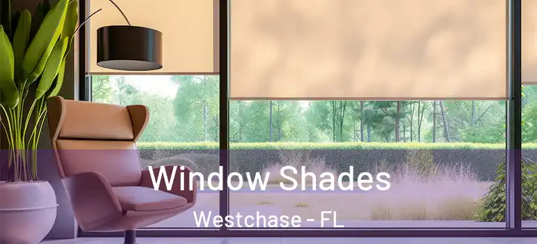 Window Shades Westchase - FL