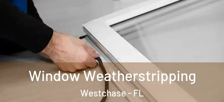 Window Weatherstripping Westchase - FL
